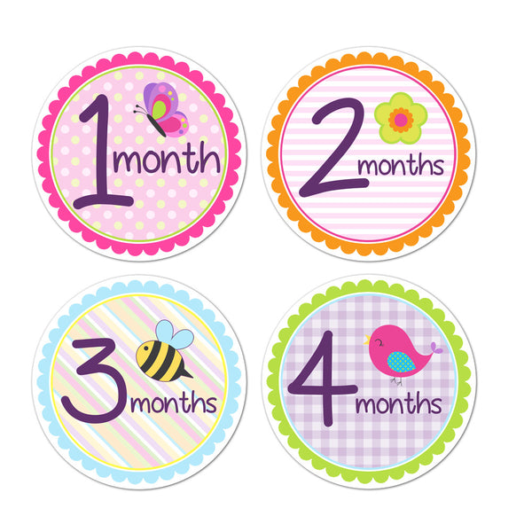 Baby Birds Baby Month Stickers – INKtropolis