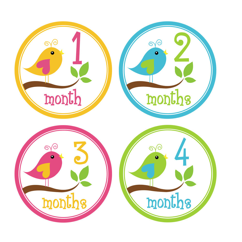Girl Little Birds Baby Month Stickers – INKtropolis