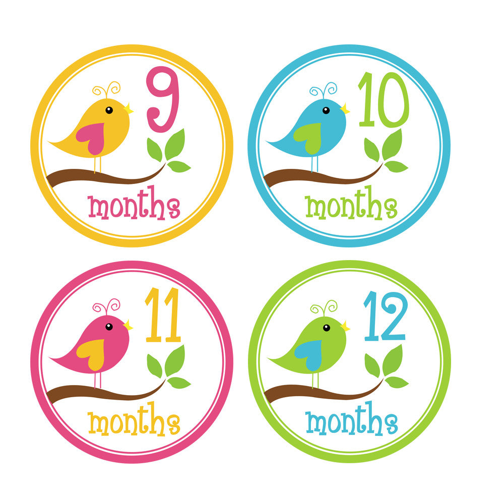 Girl Little Birds Baby Month Stickers – INKtropolis